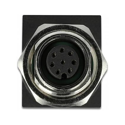 Mrežni adapter DELOCK M12 8-pin A-kodirani ženski na RJ45 ženski (Cat.6A, IP67, panelna ugradnja)-1