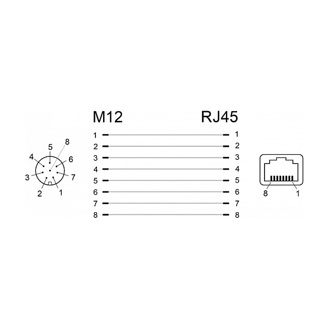 Mrežni adapter DELOCK M12 8-pin A-kodirani ženski na RJ45 ženski (Cat.6A, IP67, panelna ugradnja)-2