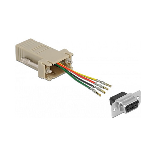 Adapter DELOCK D-Sub 9 Pin ženski na RJ11/RJ14 6P/4C ženski (montažni set)-0