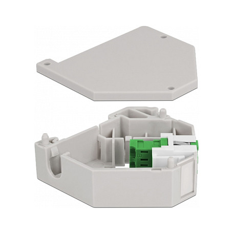 DIN Rail Keystone Adapter DELOCK 87192 (LC Duplex na LC Duplex, zeleni)-1