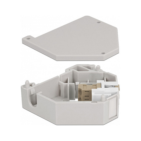 Mrežni adapter za DIN šinu DELOCK 87193 (Keystone, LC Duplex spojnica)-1