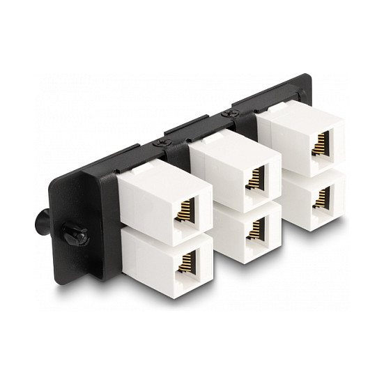 Patch panel DELOCK Keystone 6-portni 10" (za mrežni ormar, metalni)-1