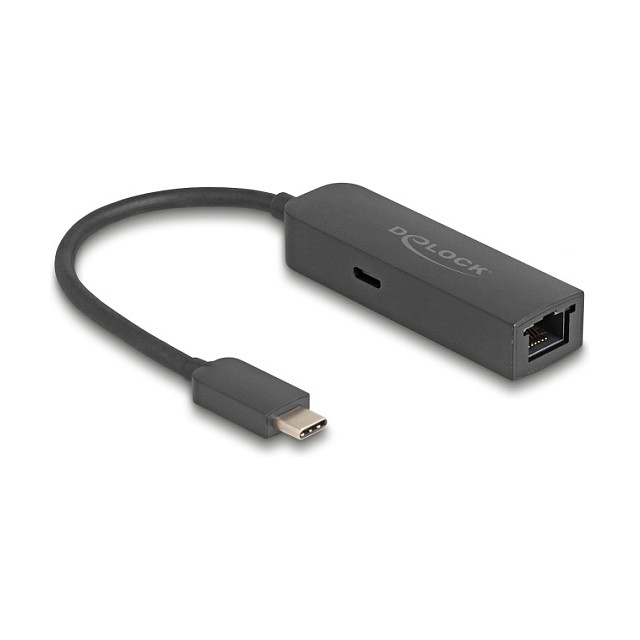 USB-C na 2.5 Gigabit LAN Adapter DELOCK 66938 (2.5 Gbps, Power Delivery 100W)-0