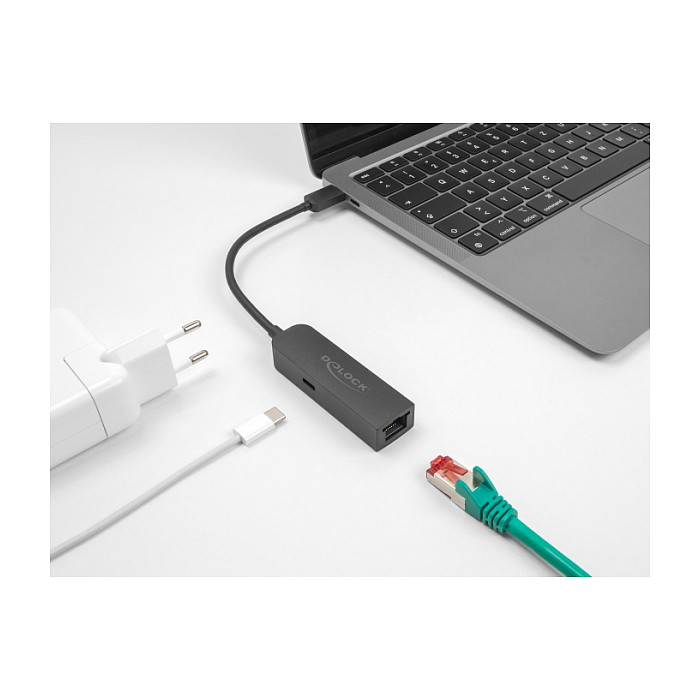 USB-C na 2.5 Gigabit LAN Adapter DELOCK 66938 (2.5 Gbps, Power Delivery 100W)-1