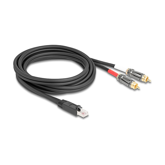 Adapter kabel DELOCK RJ45 na 2x RCA (Cinch) muški, 2m-0