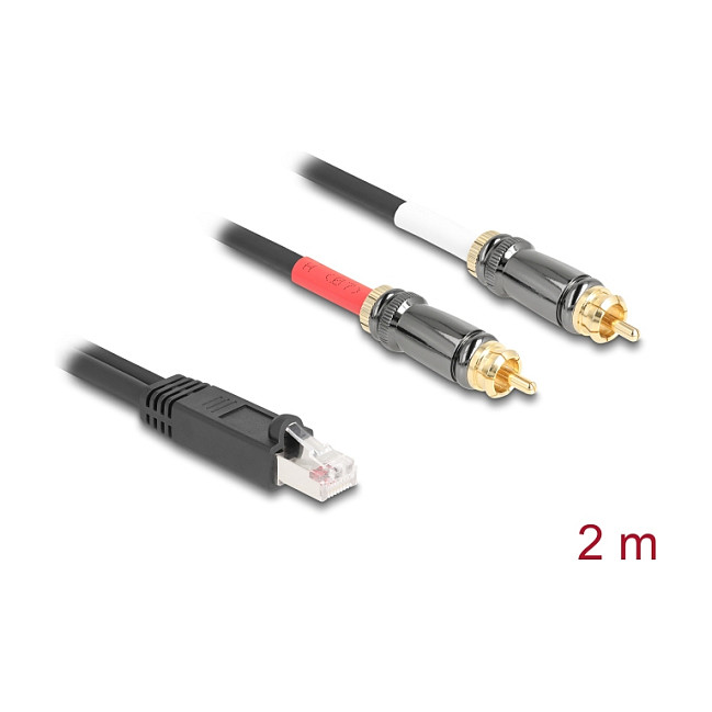 Adapter kabel DELOCK RJ45 na 2x RCA (Cinch) muški, 2m-1