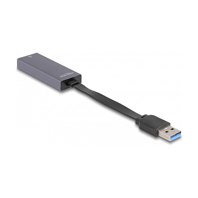 Mrežni adapter DELOCK USB-A 3.2 na 2.5 Gigabit LAN (RJ45, Realtek RTL8156)