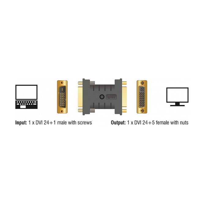 DVI EDID Emulator Adapter DELOCK 63313 (DVI 24+1 na DVI 24+5, 4K 30 Hz, programabilan)-1