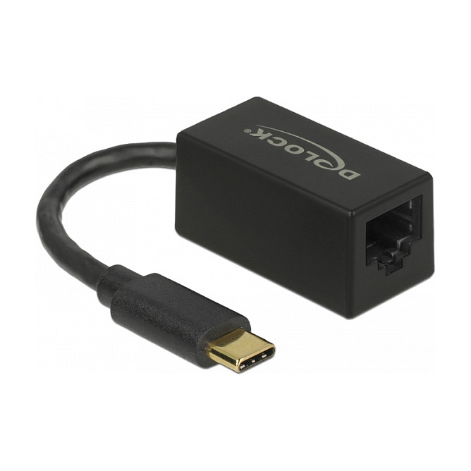 Mrežni adapter DELOCK USB-C na Gigabit LAN (1000 Mbps, RJ45, ASIX)-0
