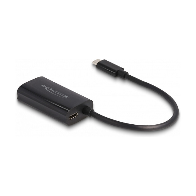 Adapter DELOCK USB-C na Gigabit LAN (100W Power Delivery)-0