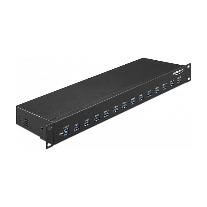 USB Hub DELOCK 19" Industrijski 13-portni USB 3.1 Gen 1 (1U Rack, metalno kućište, ESD zaštita)-0
