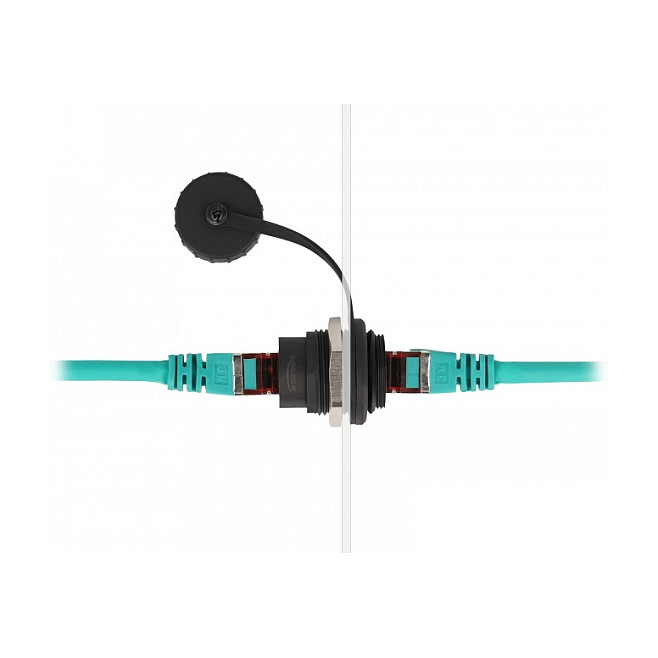 RJ45 ugradbena utičnica DELOCK 86967 (Cat.6, STP, s poklopcem protiv prašine)-1