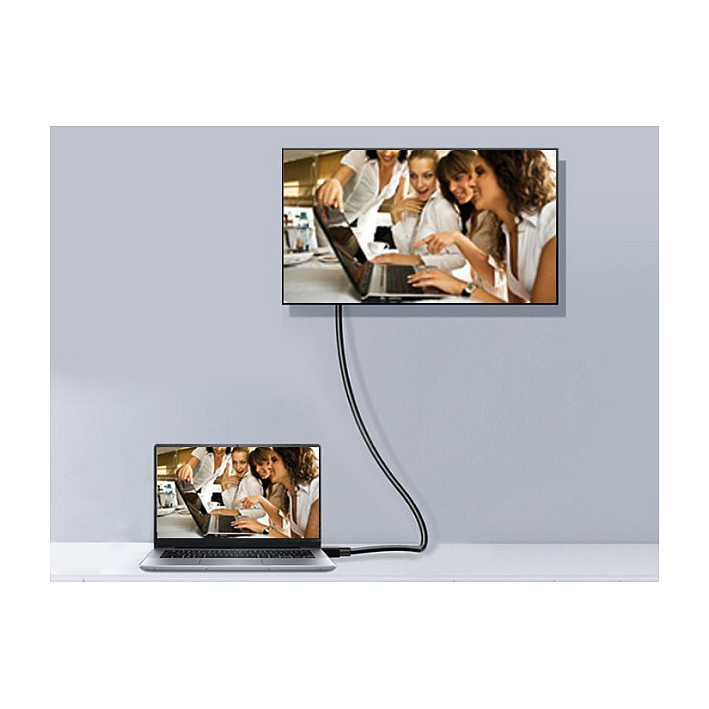 DisplayPort kabel EQUIP 1.2 (1m, 4K@60Hz)-3