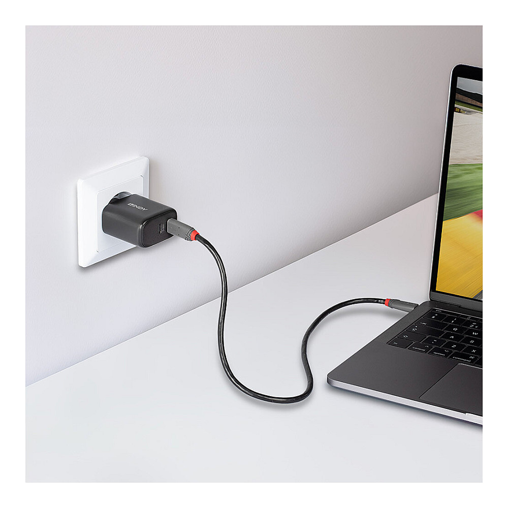 Strujni punjač LINDY 2-Port GaN 65W (USB-C & USB-A, PD 3.0, QC 4.0+)-3