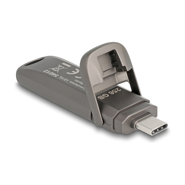 USB Stick DELOCK 18681 (256 GB, USB-C 3.2 Gen 2x2, do 1980 MB/s)-1