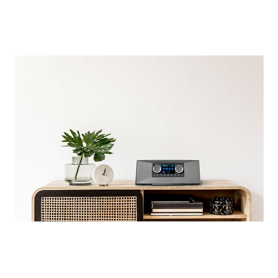 Internet radio MEDION MD 89289 (DAB+, FM, Bluetooth, Spotify Connect, 2x 7.5W) sivi-1