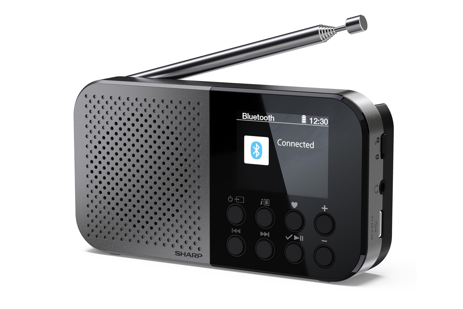 Sharp DR-P520 Personal Digital Grey-3