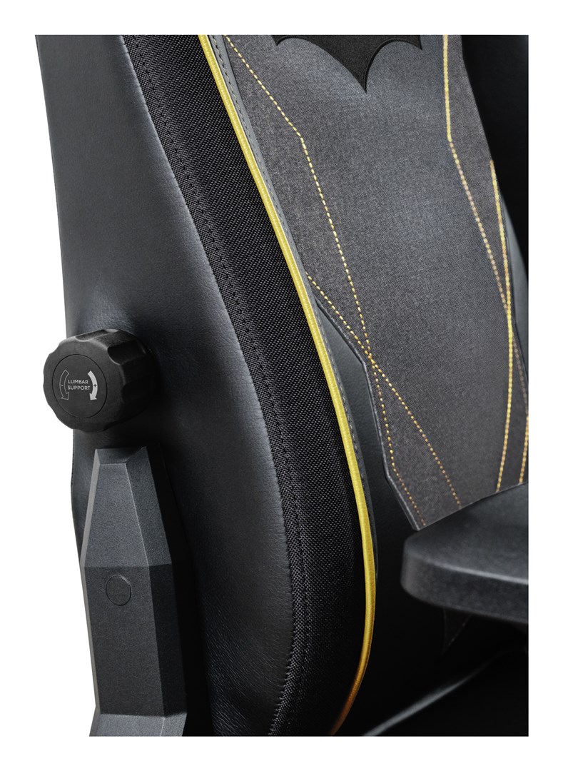 Gaming stolica TRUST GXT 703 Riye (podesivi nasloni, do 140 kg, jastuci za leđa i vrat)-1