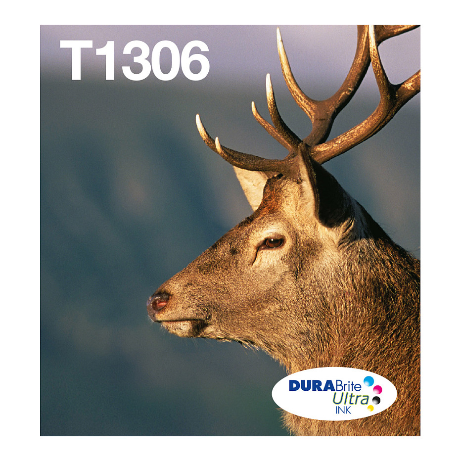 Tinta za printer EPSON T1306 Multipack (C/M/Y)-0