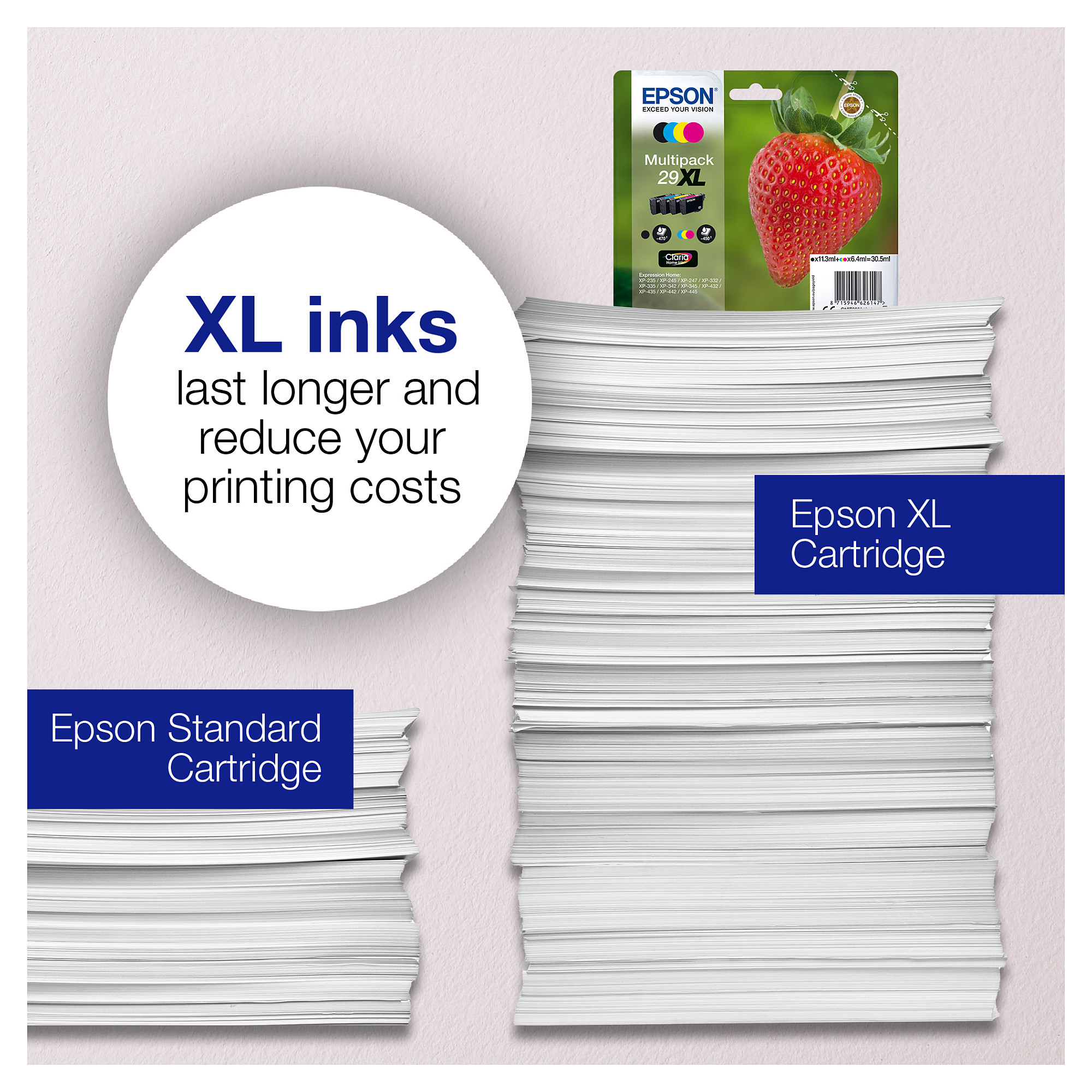 Tinta za printer EPSON 29 Multipack (C13T29864511)-6