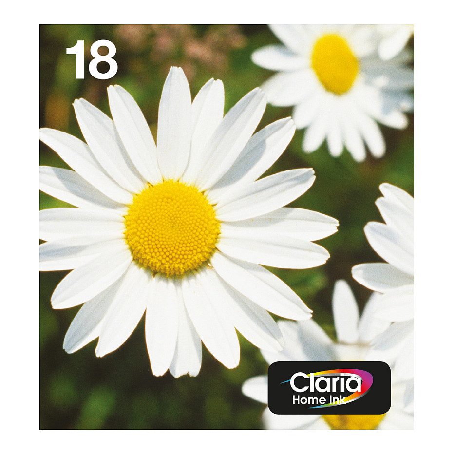 Tinte EPSON Original 18 Daisy 4-bojni Multipack (C13T18064511)