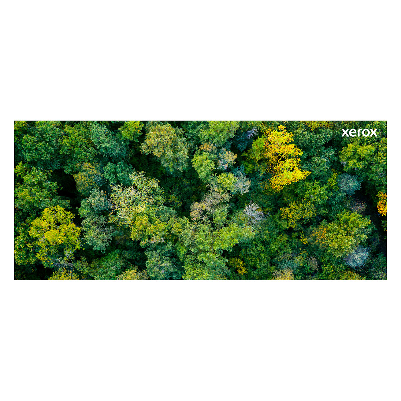 Xerox 006R04726 toner crni (Black), High-Capacity-4