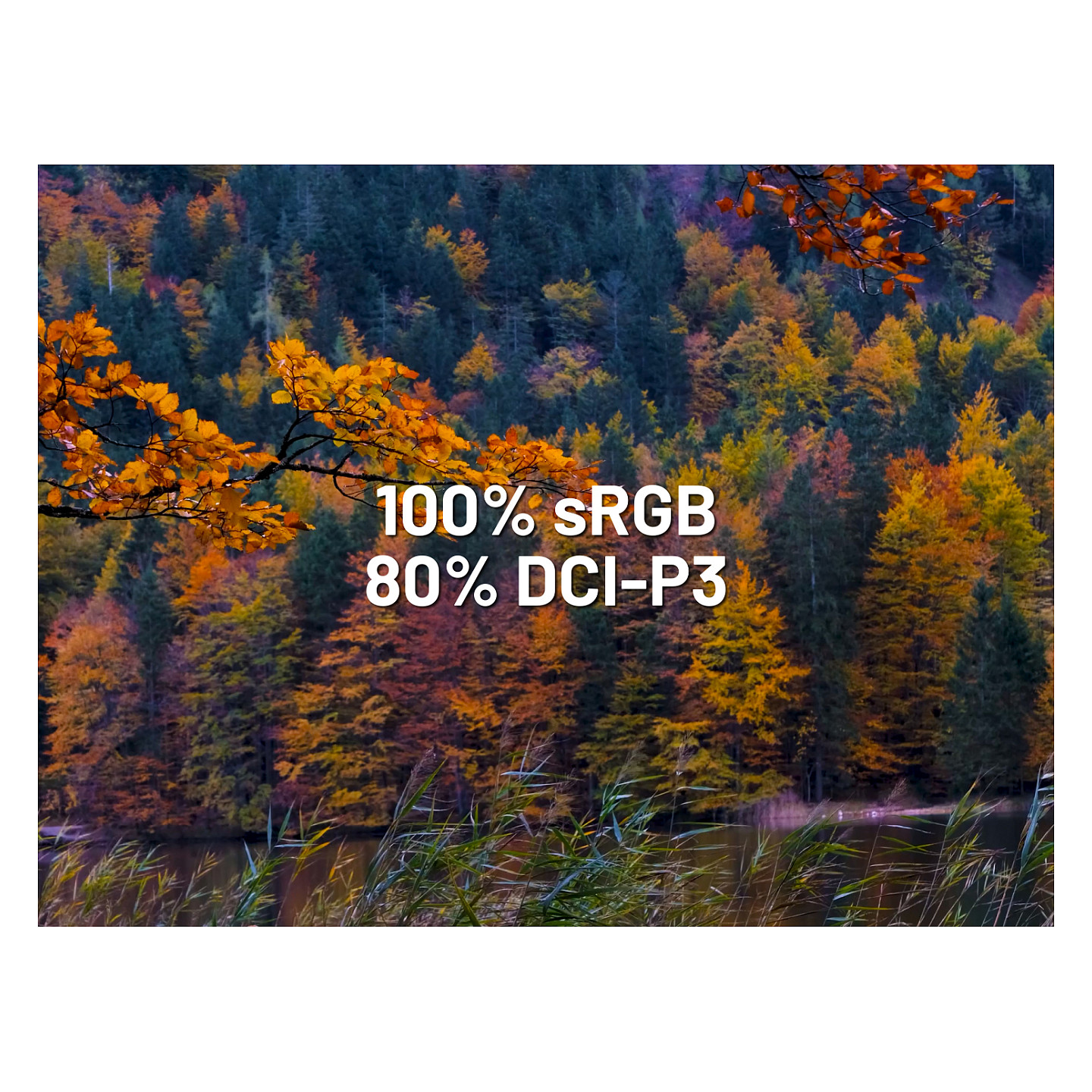 Monitor JAPANNEXT JN-I238FHD120F-HSP-YE (23.8", IPS, FHD, 120Hz, žuti)-10