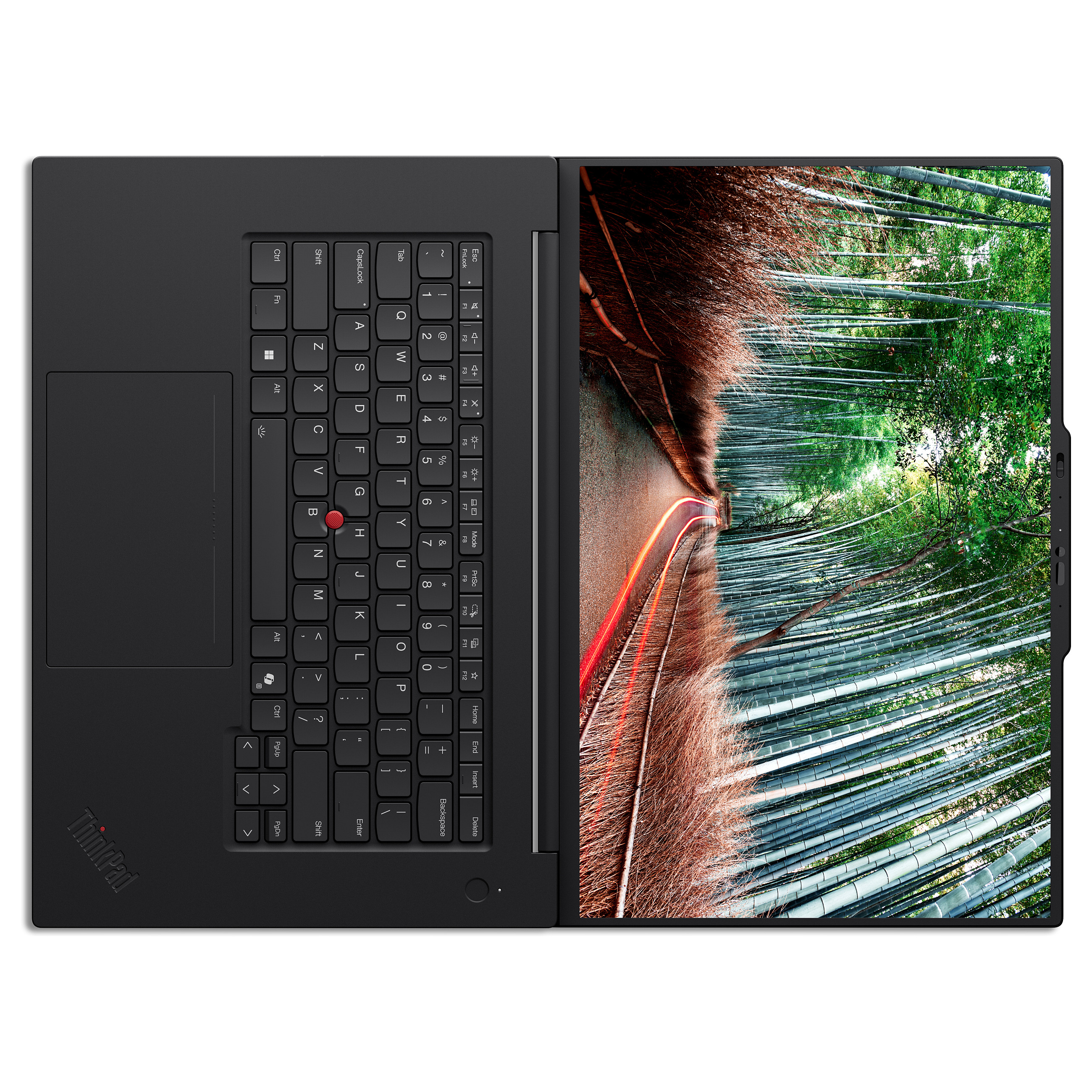 Laptop LENOVO ThinkPad P1 Gen 8 (16", Intel Core Ultra 7 255H, 32GB, 512GB SSD, NVIDIA RTX 1000 Blackwell, Windows 11 Pro, Non-HR tipkovnica)-11