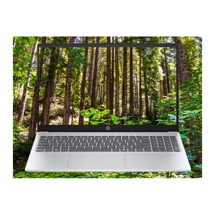 Laptop HP OmniBook 3 15-fn0653ng (15.6", FHD, AMD Ryzen AI 5 330, 16GB, 1TB SSD, AMD Radeon Graphics, Windows 11 Home, Non-HR tipkovnica, Srebrna)-5