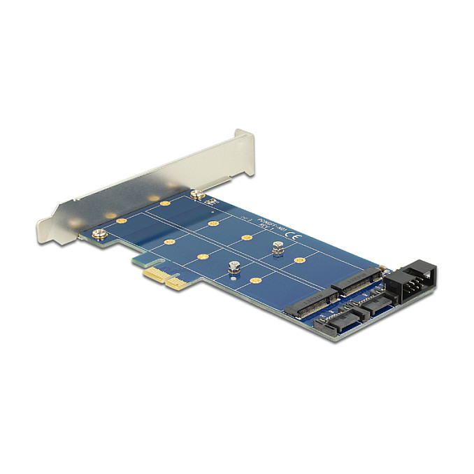 Adapter DELOCK PCI Express x1 na 2 x M.2 NGFF (SATA), 89374-0