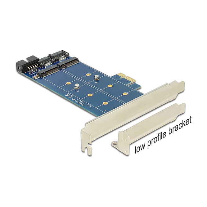 Adapter DELOCK PCI Express x1 na 2 x M.2 NGFF (SATA), 89374-1