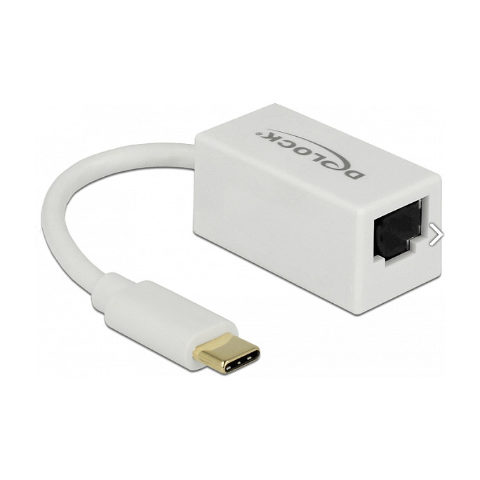 Delock USB-C na Gigabit LAN RJ45 mrežni adapter, 10/100/1000 Mbps, bijeli-0