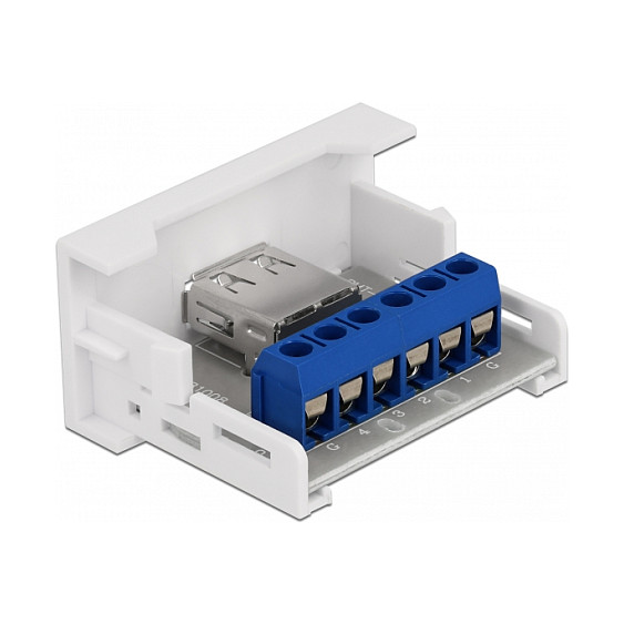 Delock Easy 45 modul USB 2.0 Type-A (ž) na terminalni blok-1