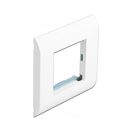 Nosač modula DELOCK Easy 45 s okvirom (80 x 80 mm) bijela boja