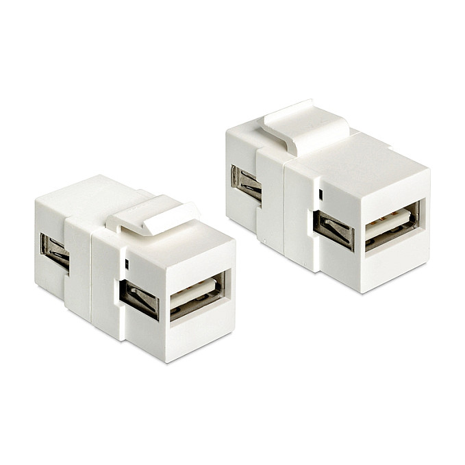 Delock Keystone Modul USB 2.0 A (Ž) na USB 2.0 A (Ž), Bijeli-0
