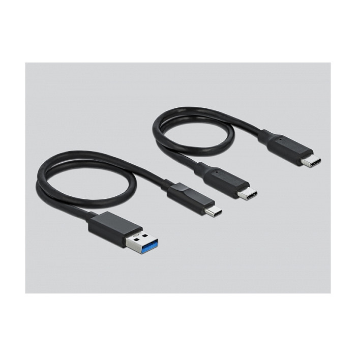 DELOCK USB-C čitač kartica i Hub 91754 (CFast, SD, USB-A, USB-C)-2