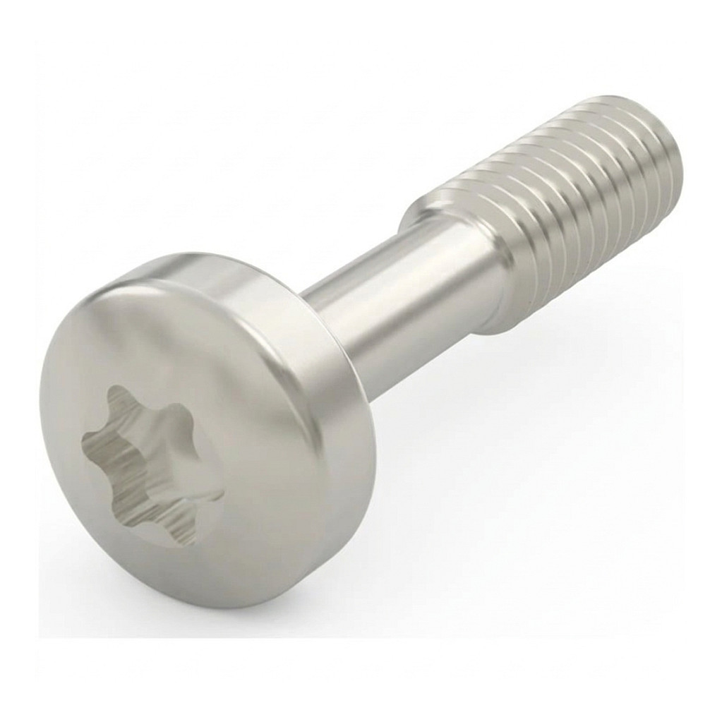 SCHROFF vijci s ovratnikom M2.5 x 12.3 mm Torx (pakiranje 100 kom)-0