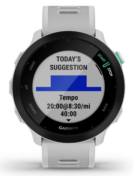 Pametni sat GARMIN Forerunner 55, 42mm Whitestone - 010-02562-15-1