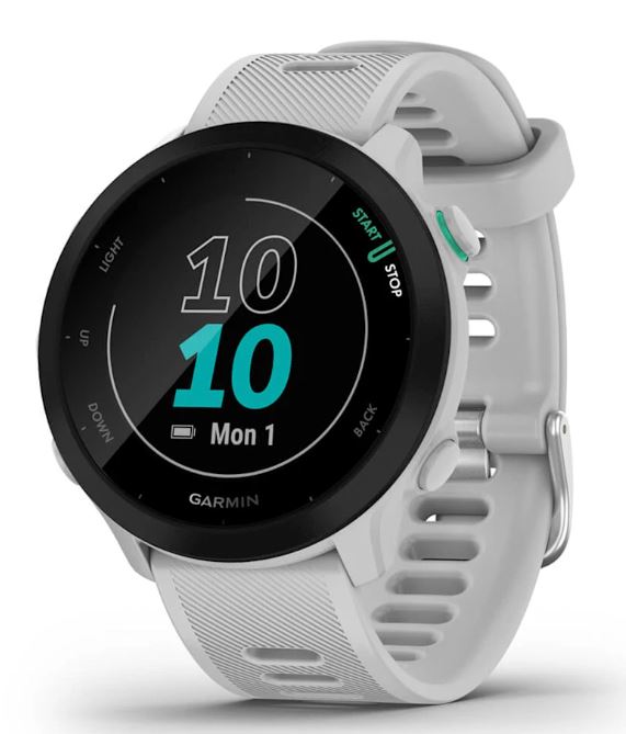 Pametni sat GARMIN Forerunner 55, 42mm Whitestone - 010-02562-15