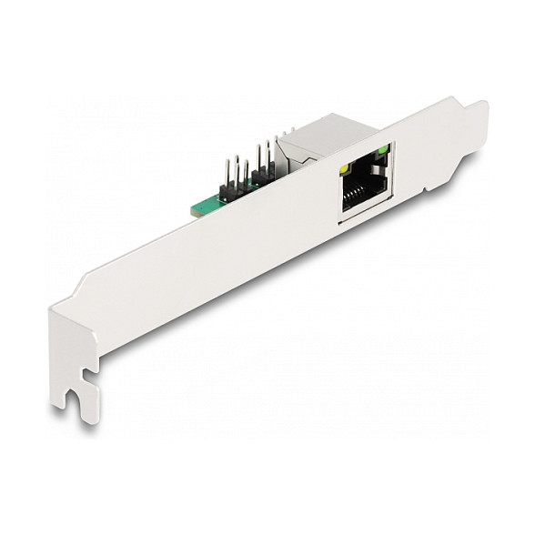 Mrežna kartica DELOCK M.2 Key B+M na 2.5 Gigabit LAN RJ45-2