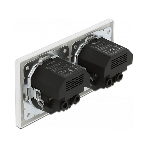 Ugradbena utičnica DELOCK, 2x šuko, 4x USB Type-A, 2x 2.8A-1