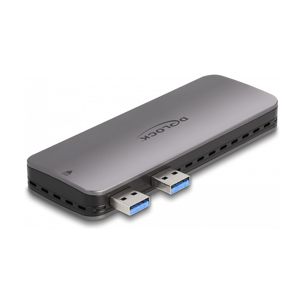 Kućište DELOCK za M.2 NVMe SSD za PlayStation 5 (USB 3.2 Gen 2, bez alata)-0