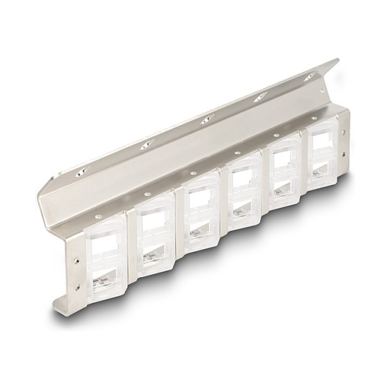 Delock Keystone Panel 12-portni, nagibni, za 10" ili 19" rack i zidnu montažu-0