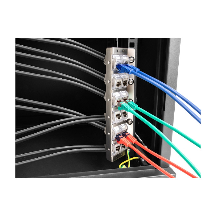 Delock Keystone Panel 12-portni, nagibni, za 10" ili 19" rack i zidnu montažu-5