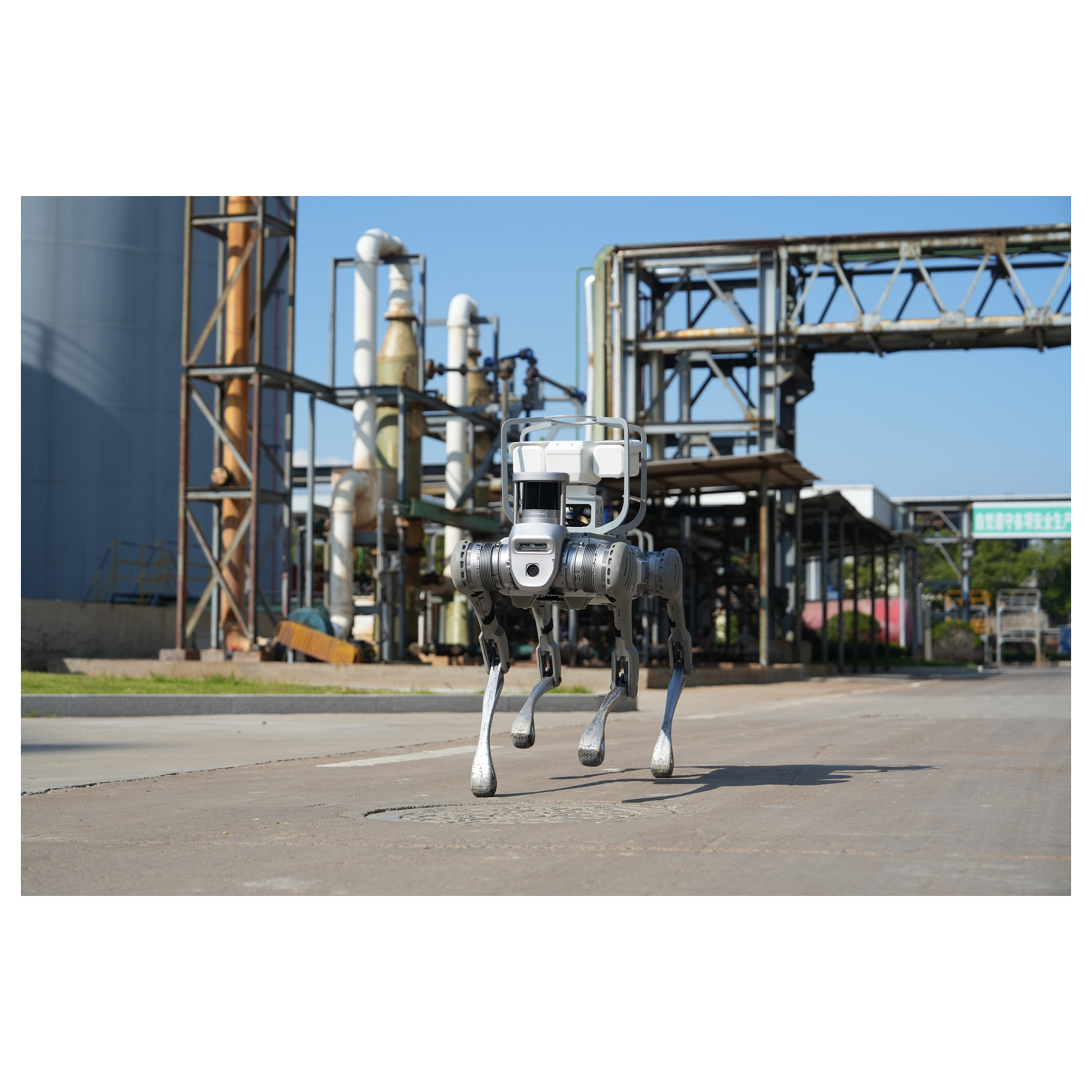 Robotski pas UNITREE B2-7