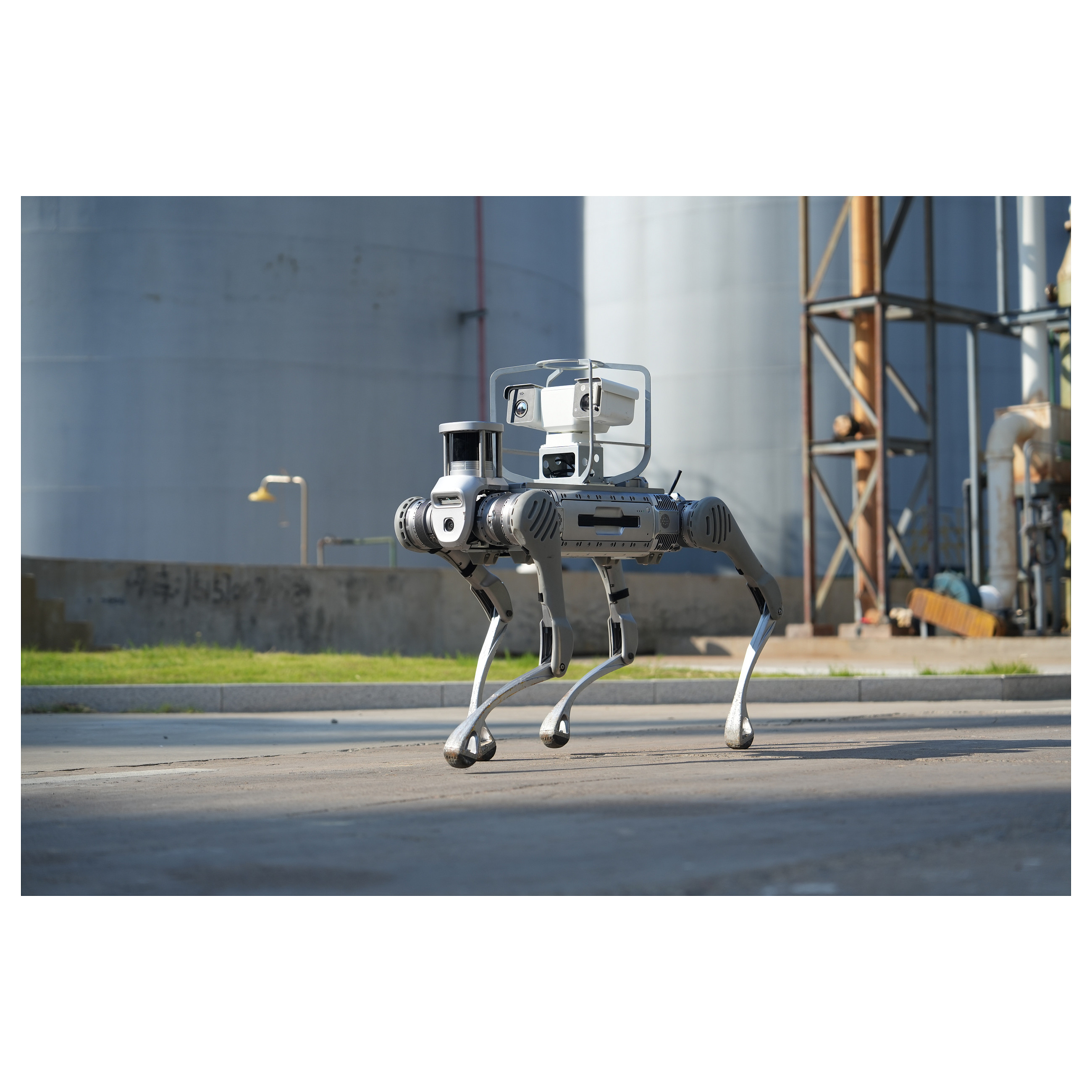 Robotski pas UNITREE B2-8