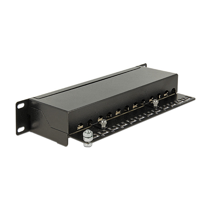 Mrežni patch panel DELOCK 10" 12-portni Cat.6A (43310)-1