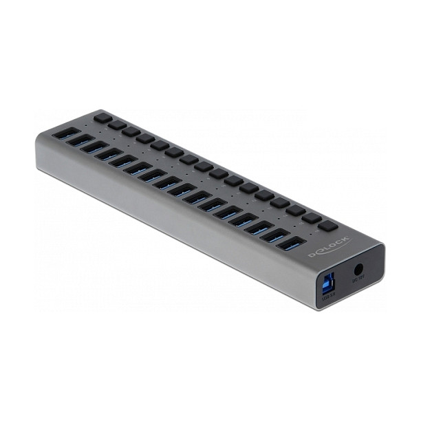 DELOCK 16-portni USB 5 Gbps Hub s prekidačima