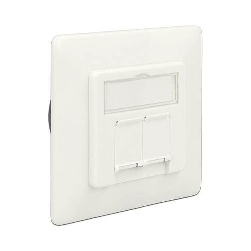 Mrežna utičnica DELOCK Keystone ugradbena za 2 modula (85 x 85 mm)