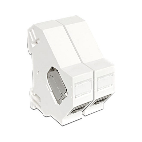 Delock Keystone nosač za DIN šinu (1 port)-2